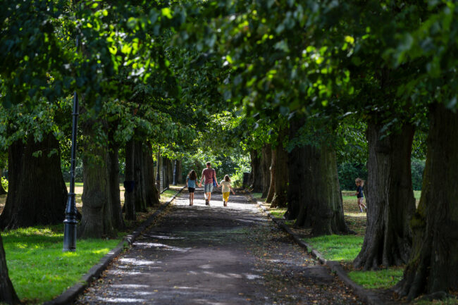 An adult and two children walking down a tree shaded path surrounded by trees and grass.